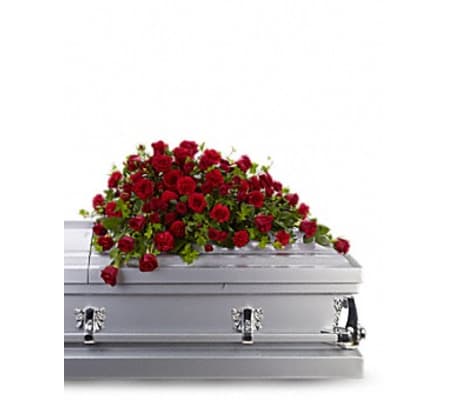 Red Rose Reverence