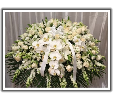 all white casket