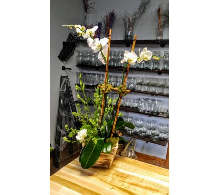 Shabby Chic Orchid
