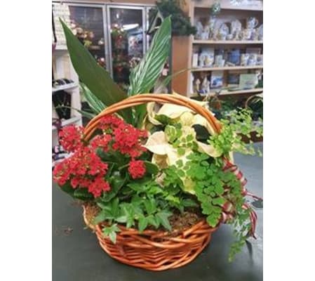 Christmas European Garden Basket