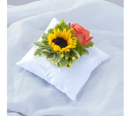 Heaven's Sunset Pillow Insert