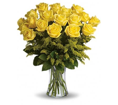 Burst of yellow roses