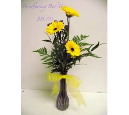 GERBERA DAISY BUD VASE