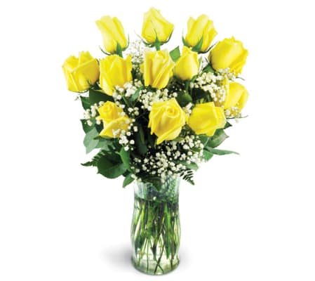 Classic Yellow Roses