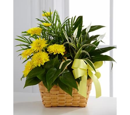 Greens and blooming