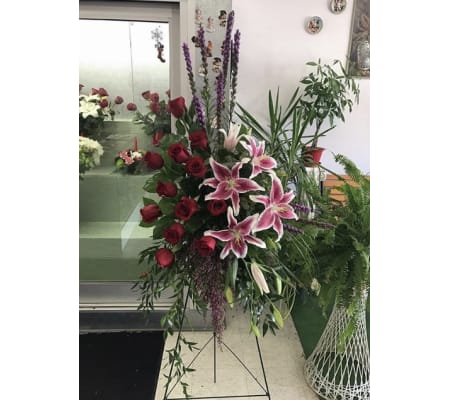 Stargazers and Roses