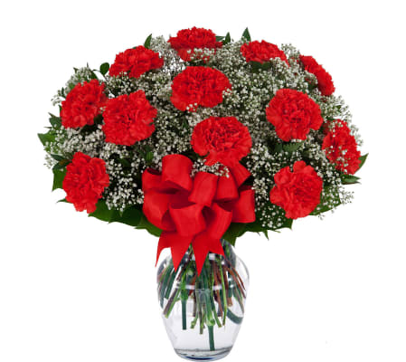 12 Red Carnations Arranged in a Glass Vase