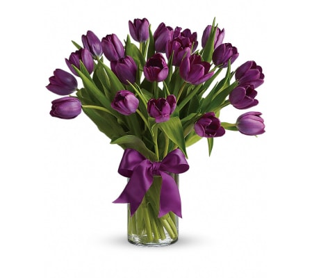 PASSIONATE PURPLE TULIPS
