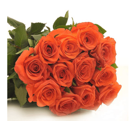 Perfectly wrapped Orange Roses