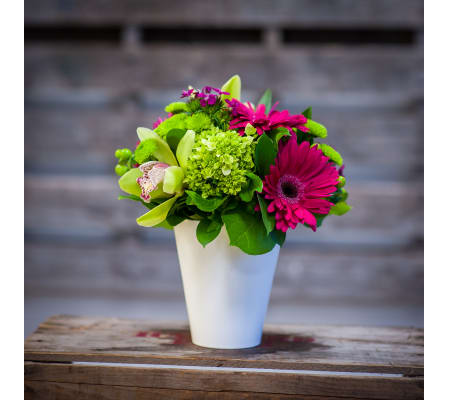 Spring Green