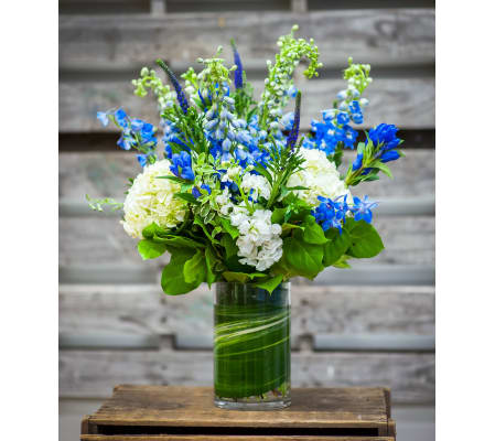 Touch Of Blue