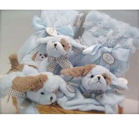 Baby Gift Basket for a Boy
