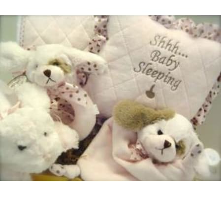 New Baby Gift Basket for a Girl