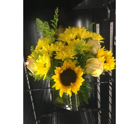 Sunflower yellow medley