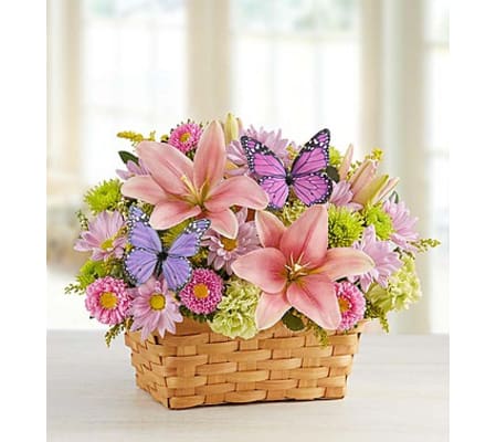 Spring Blossom