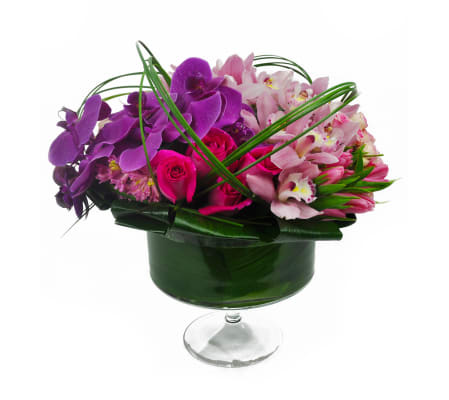 Orchimedia