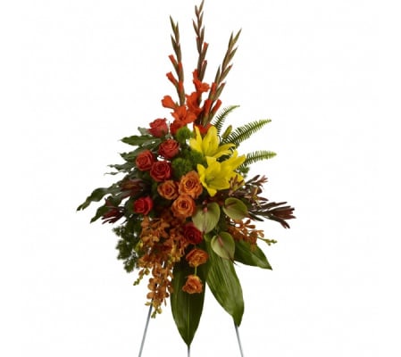 Tropical Tribute