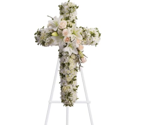 Cross of Innocence