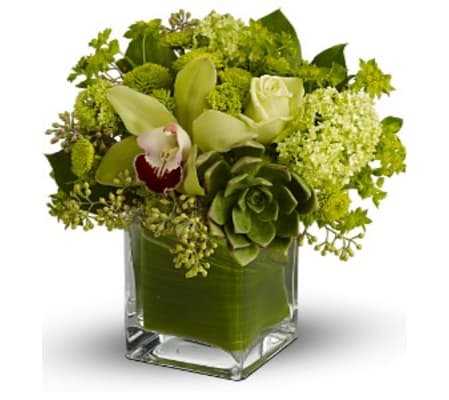 Rainforest Bouquet