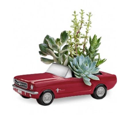 Dream Wheels '65 Ford Mustang by Teleflora