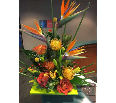 A Burst of Tropicals