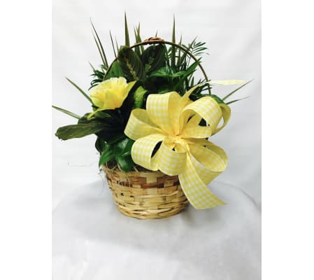Spring Dish Garden