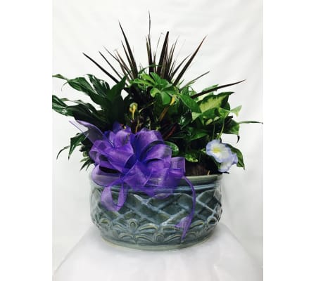 Large Spring Ceramic Dish Garden