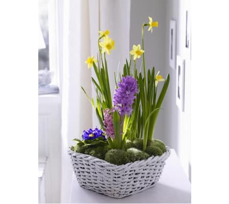 Bulb Garden