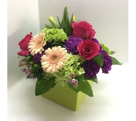 Pops of Pink by Rothe's