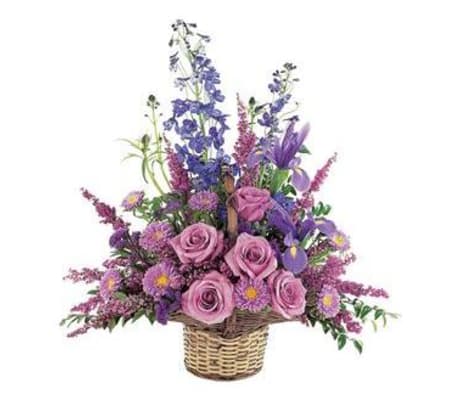 Comfort Basket
