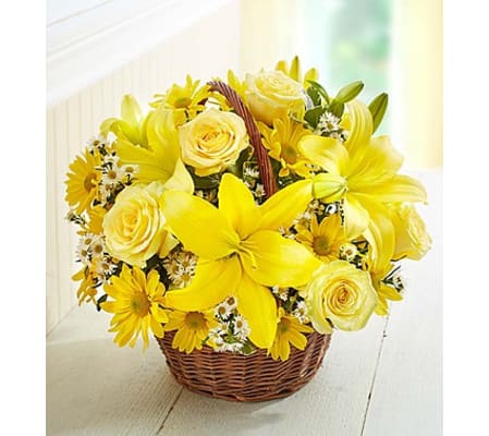 Spring Sunshine