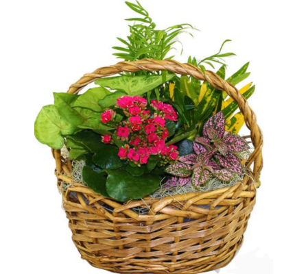 Garden Blooms Basket