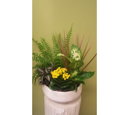 Round Mixed Tropical Planter