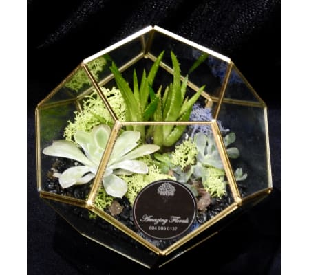 Gold Terrarium