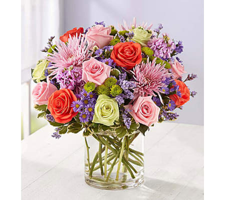 Abundance Beauty