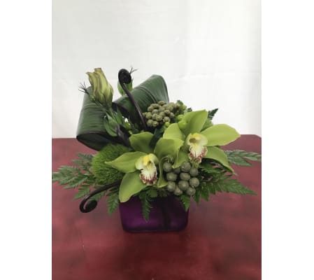 Orchid Romance