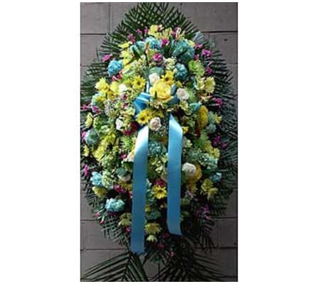 Blue, Yellow, and Pink GF-SP13
