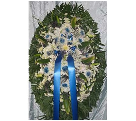 White & Blue GF-SP6