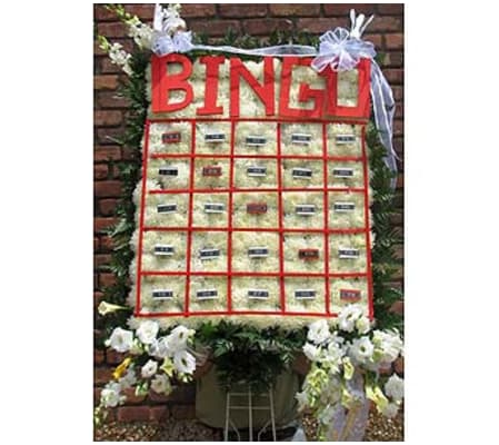 Bingo GF-SW3