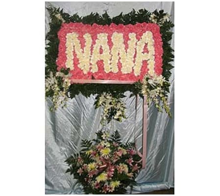 Nana GF-SW2