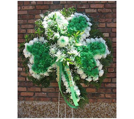 Shamrock GF-SW12