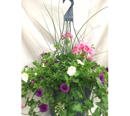 Outdoor Hanging Baskets