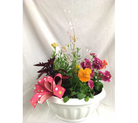 Outdoor Annual Patio Pot