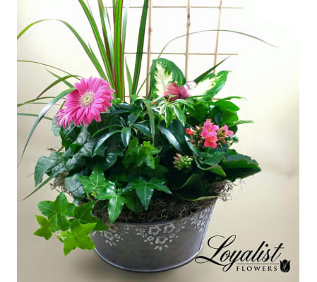 Blooming Planter