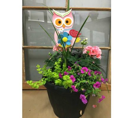 Outdoor English Patio Pot