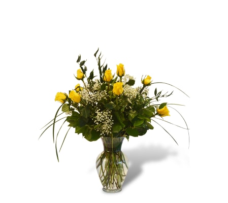 Premium Dozen Roses in Yellow