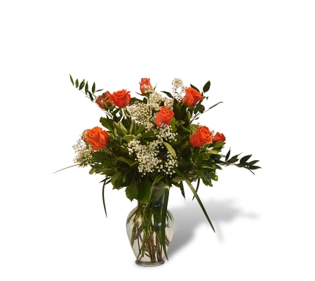 Premium Dozen Roses in Orange