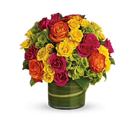 Blooms In Vogue