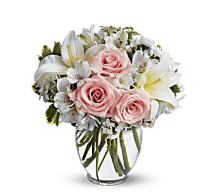 Stylish Blooms