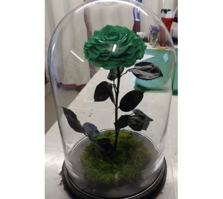 ENCHANTED ROSE GREEN